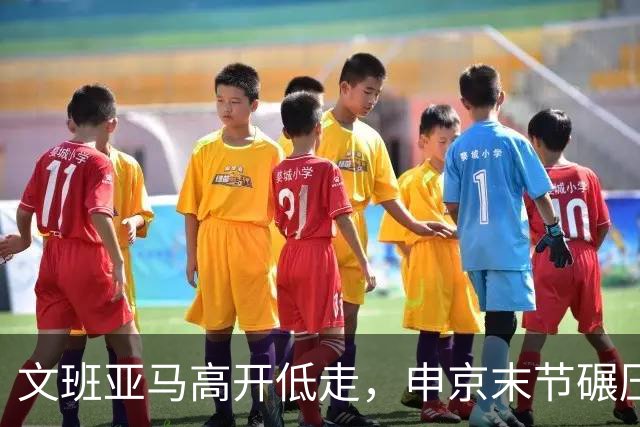 文班亚马高开低走,申京末节碾压马刺内线,火箭险胜卫冕亚军
