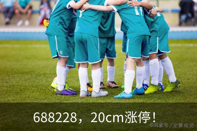 688228,20cm涨停!