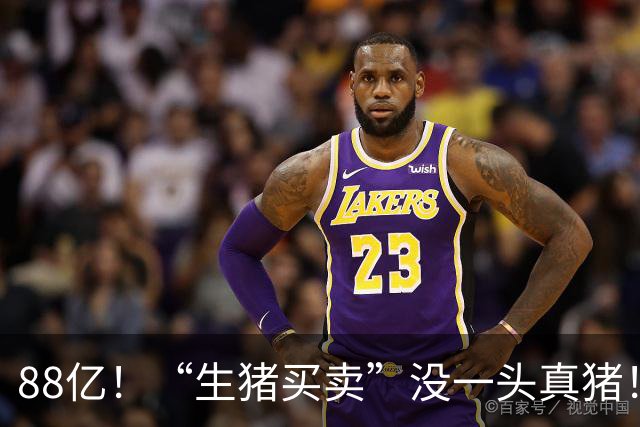 88亿!“生猪买卖”没一头真猪!空手套白狼,国企巨款全被挪走?